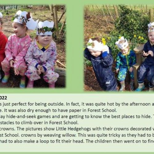 Our Forest School Journey so far...